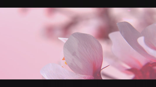 BLOSSOM Perfume 100 ml