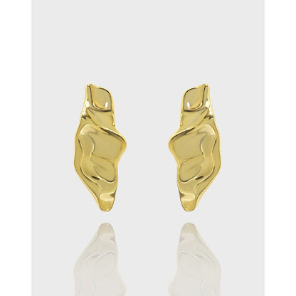 Geometry Irregular Pods 925 Sterling Silver Stud Earrings